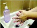 wash hands before processing foods 