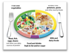 about the eatwell plate