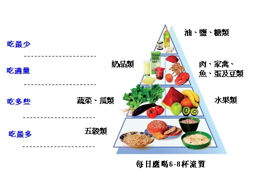成人健康饮食金字塔