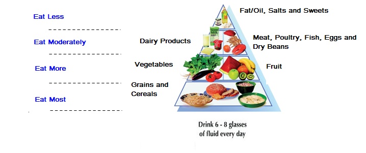 Food Pyramid (Adults)